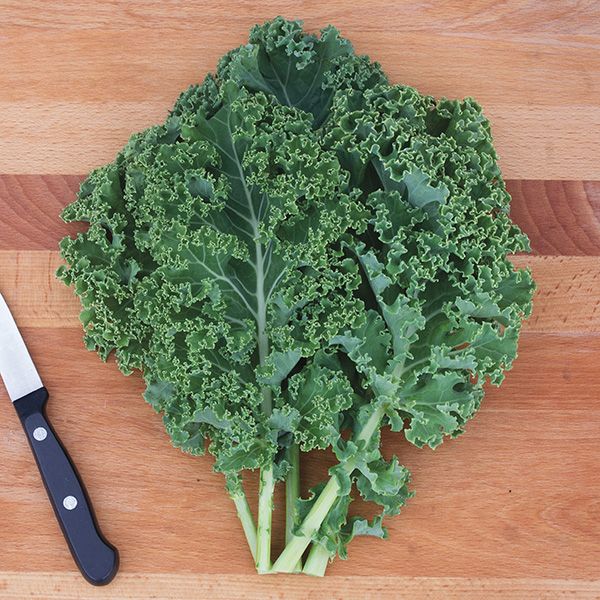 Kale � Ever Green Farm CSA